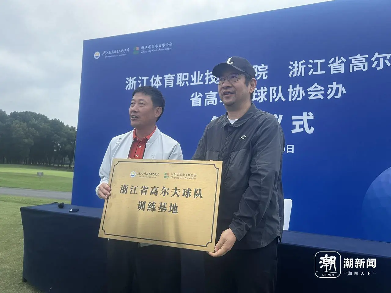 中心协助协 中心协助协