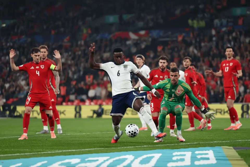 育的报道 育的报道